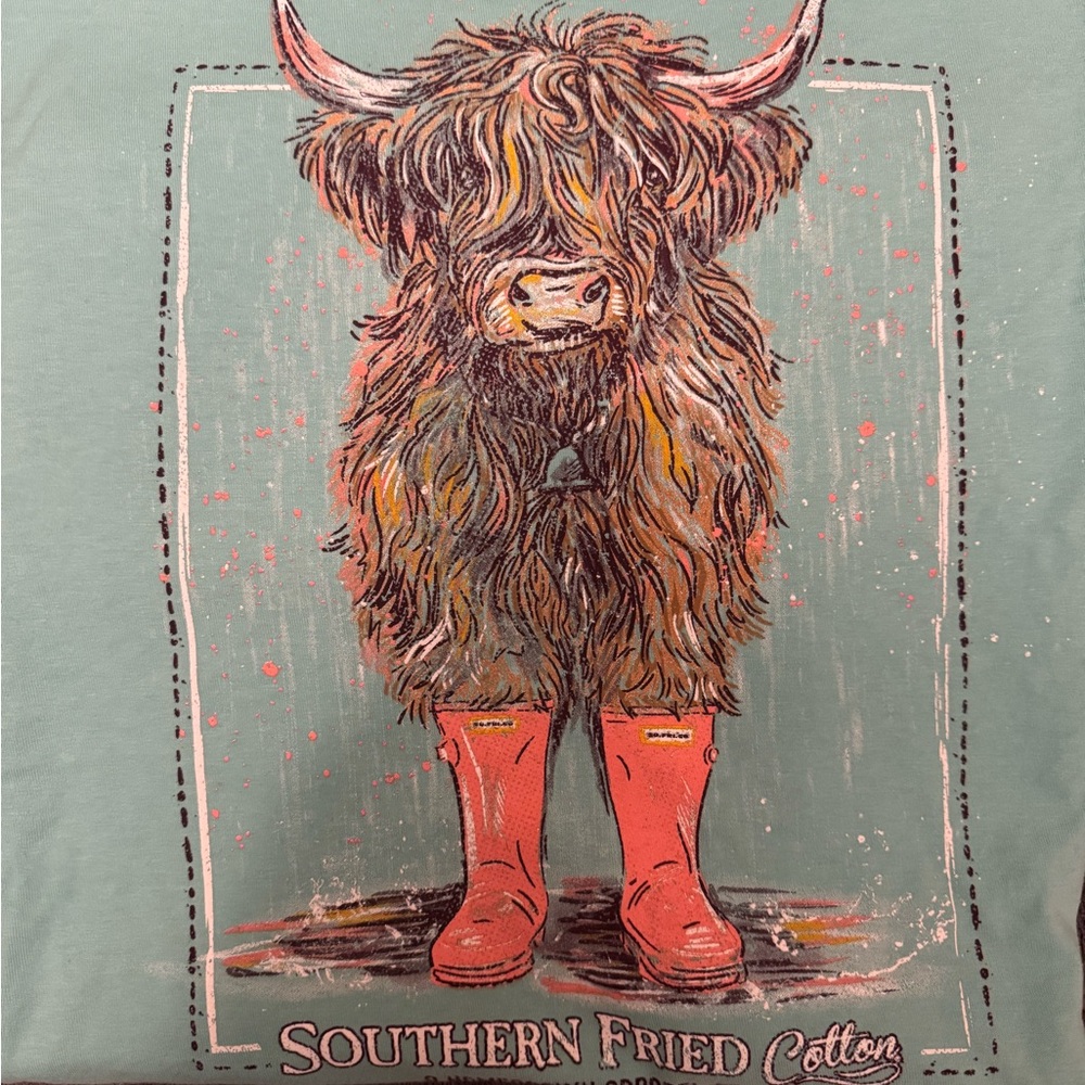 Southern Fried Cotton Mint Green T-Shirt - Picture 2 of 2